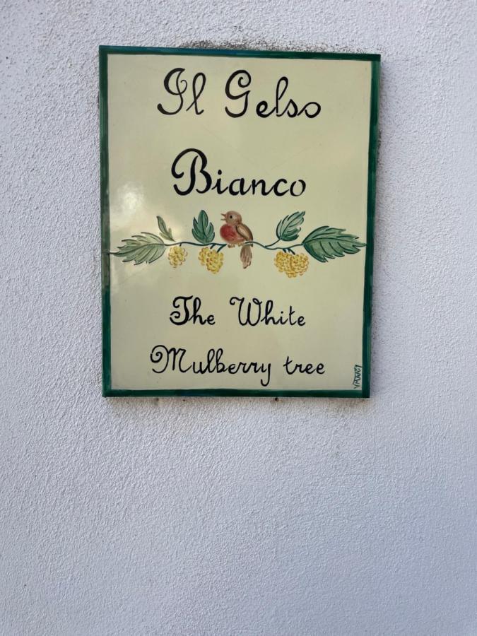 Il Gelso Bianco -The White Mulberry Tree Villa Ravello Bagian luar foto